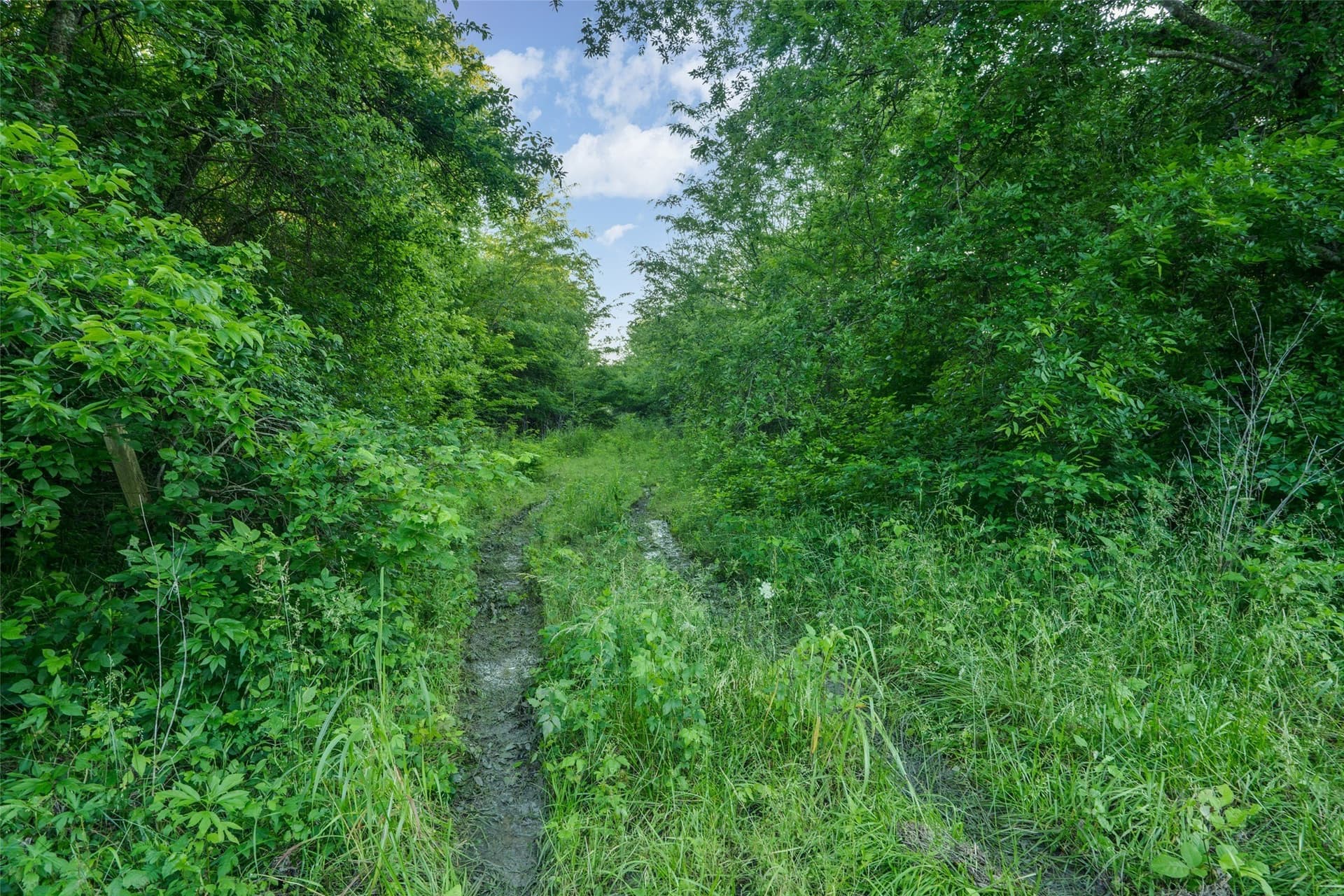 15.78 acres in Fannin County - photo 6