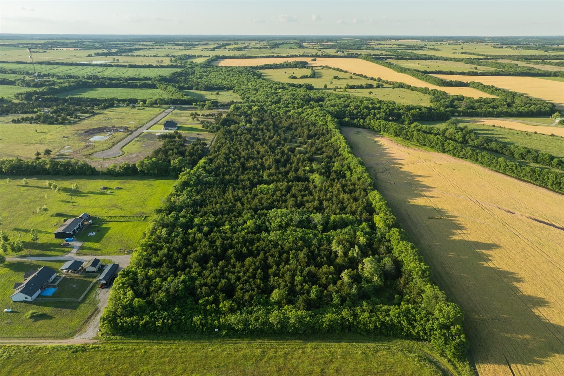 15.78 acres in Fannin County - photo 12