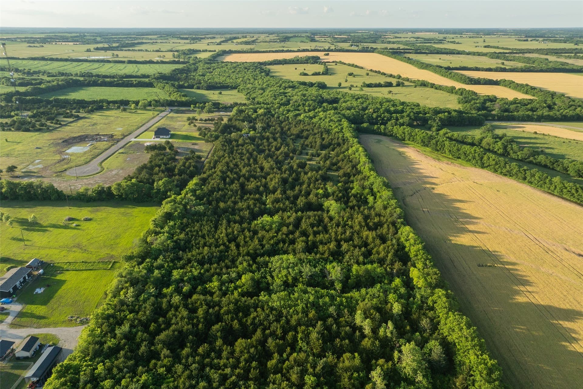 15.78 acres in Fannin County gallery image 3