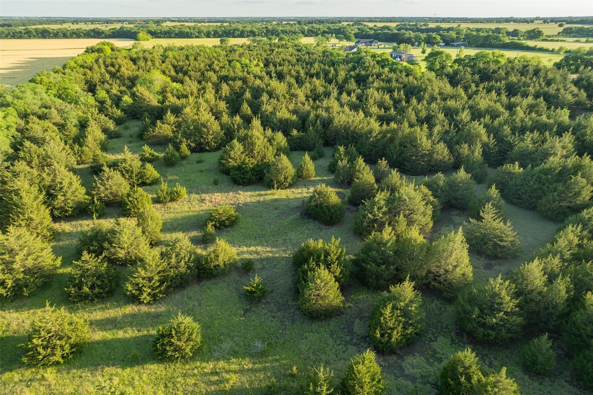 15.78 acres in Fannin County - photo 7