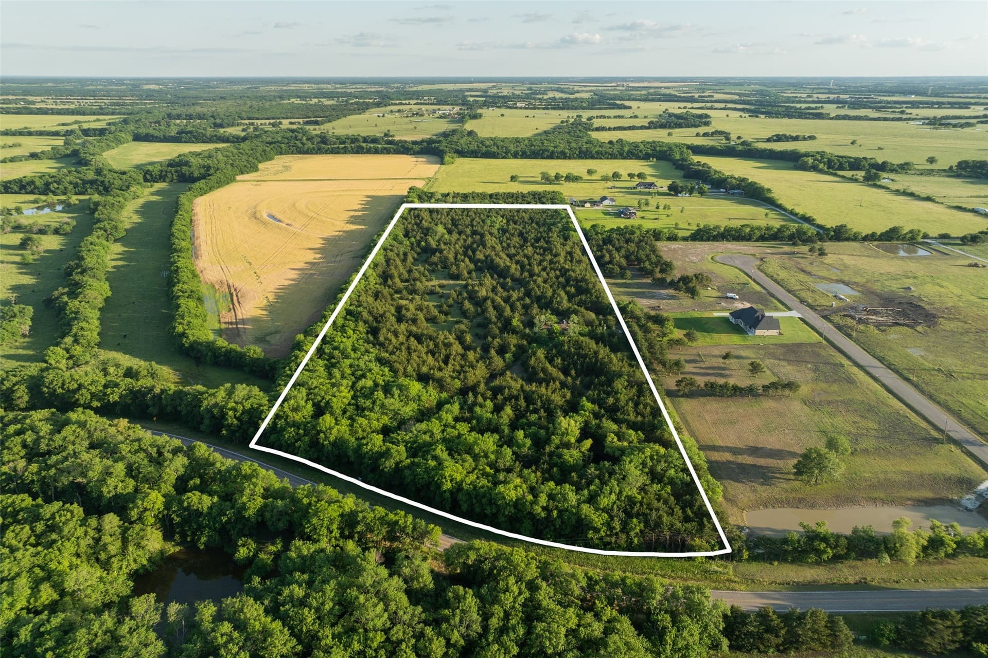 15.78 acres in Fannin County gallery image 2