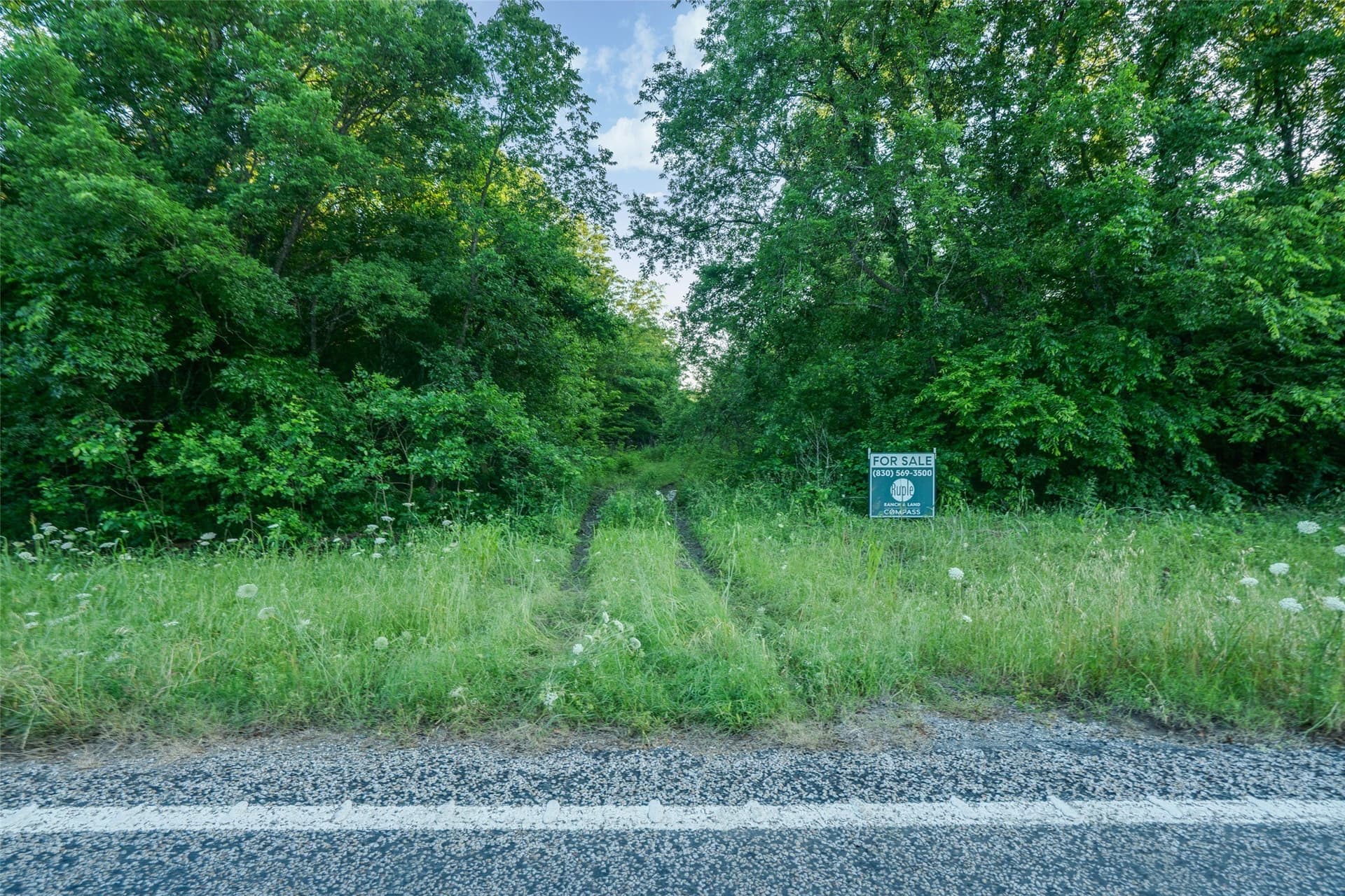 15.78 acres in Fannin County featured view