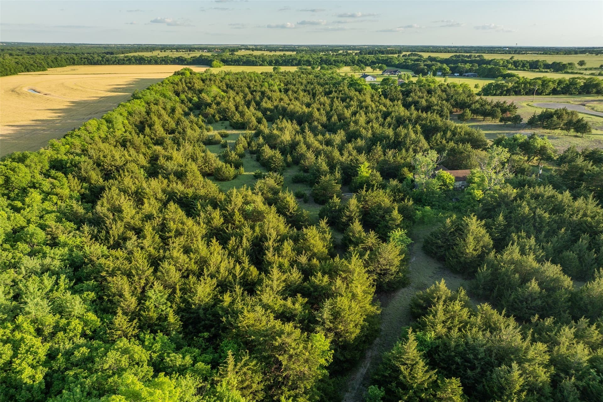 15.78 acres in Fannin County - photo 8