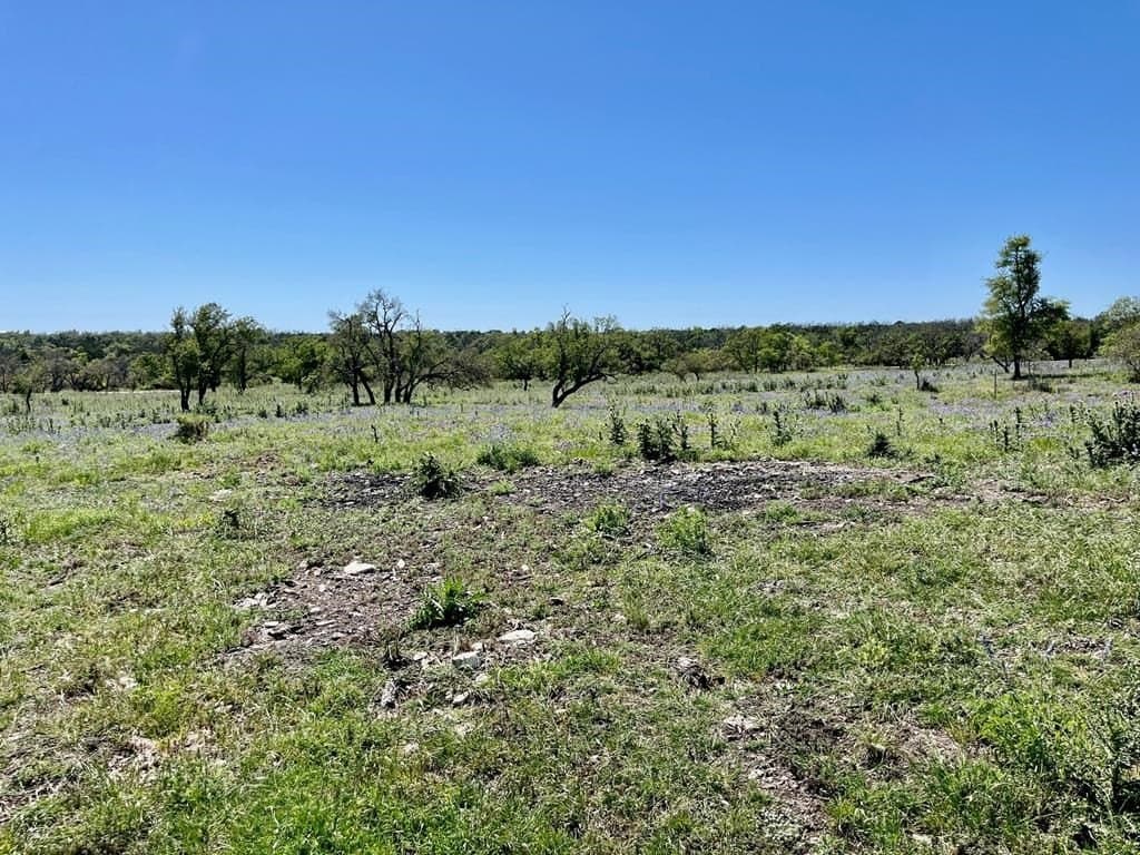 10.1 acres in Gillespie County - photo 7