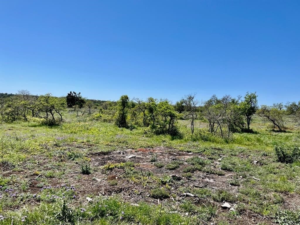 10.1 acres in Gillespie County - photo 6