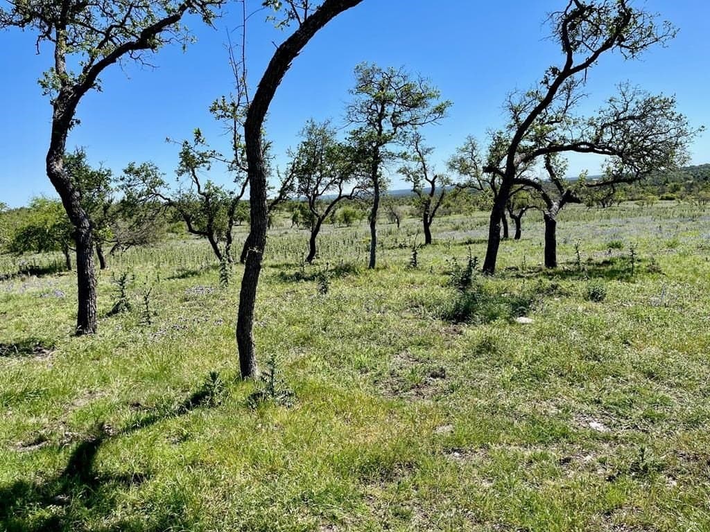 10.1 acres in Gillespie County - photo 10