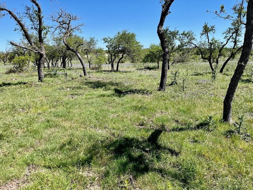 10.1 acres in Gillespie County - photo 11