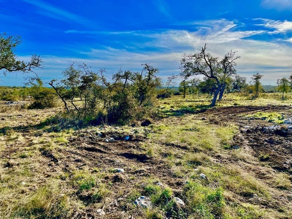 10.1 acres in Gillespie County - photo 9