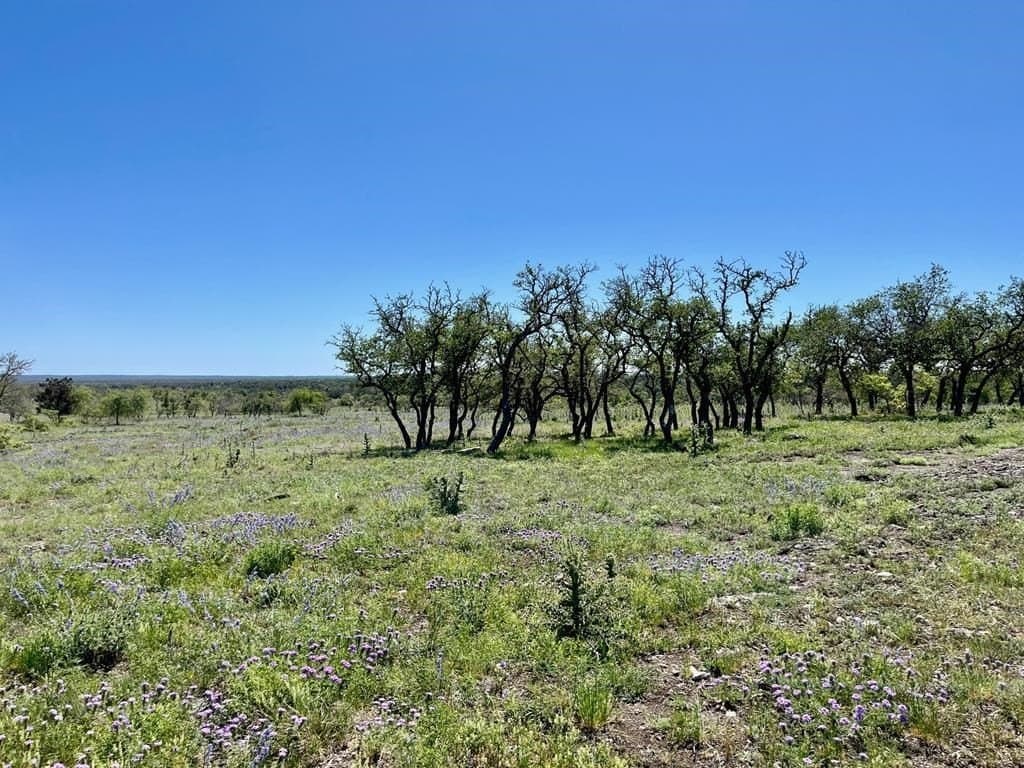 10.1 acres in Gillespie County - photo 8