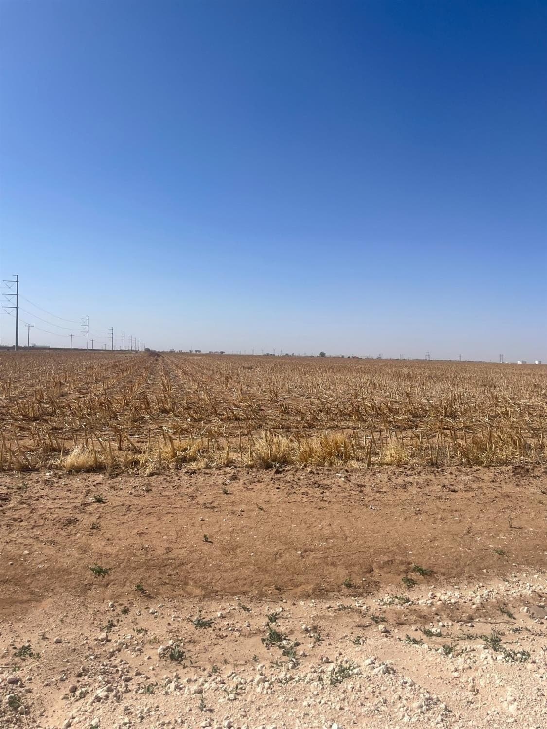 10.03 acres in Lubbock County