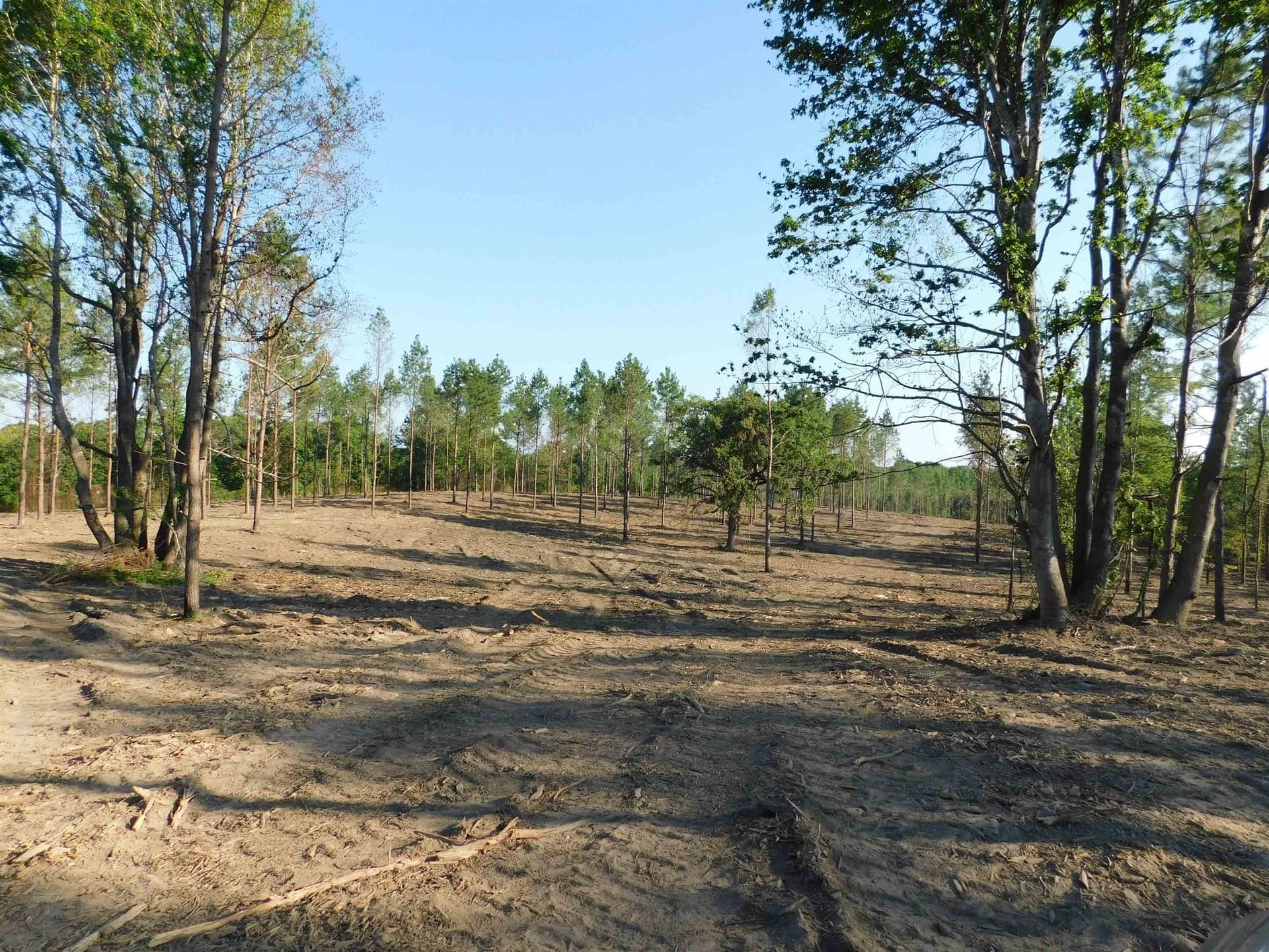 5.52 acres in Texas County gallery image 2