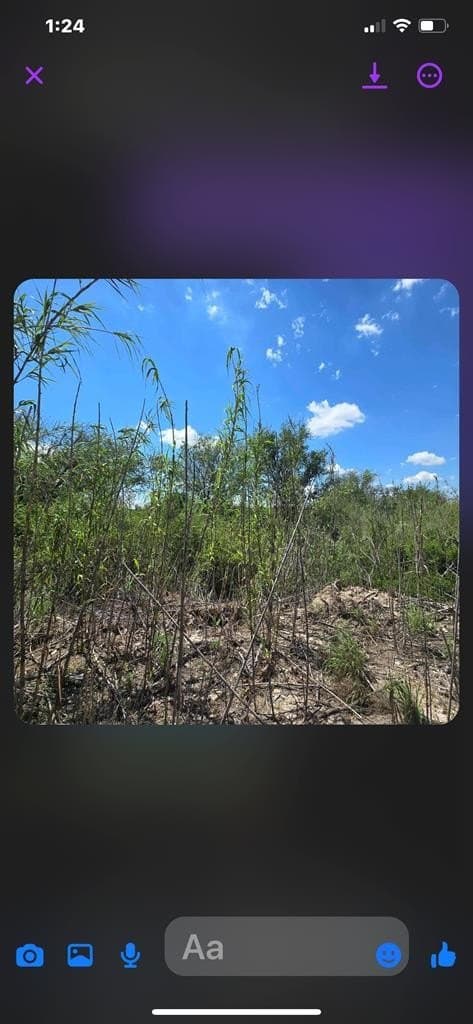 0.69 acres in Val Verde County featured view