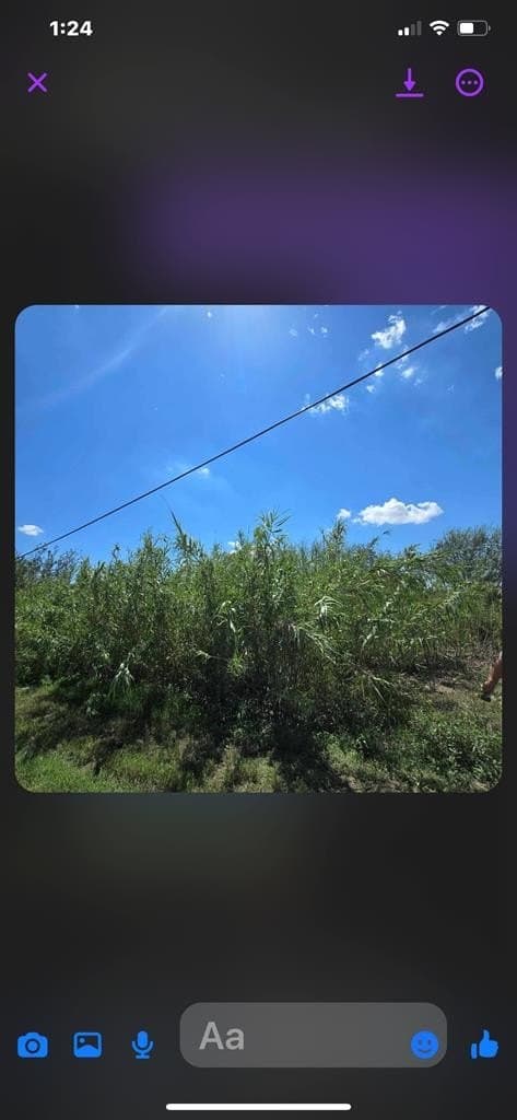 0.69 acres in Val Verde County gallery image 4