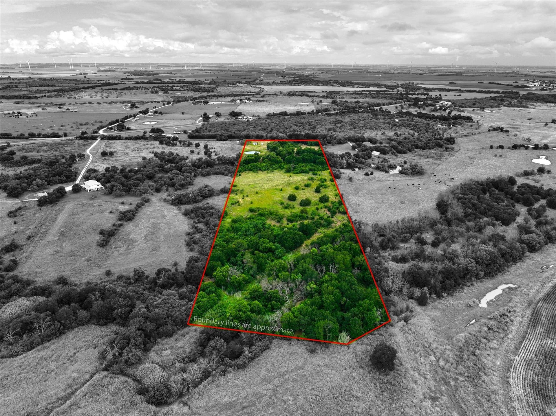 15 acres in Hill County gallery image 4