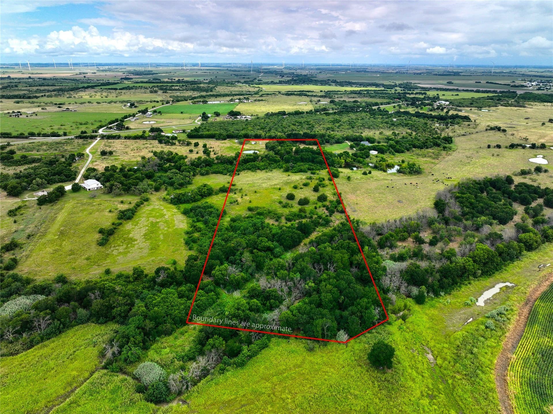15 acres in Hill County gallery image 3