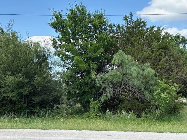 0.25 acres in Hill County - photo 2