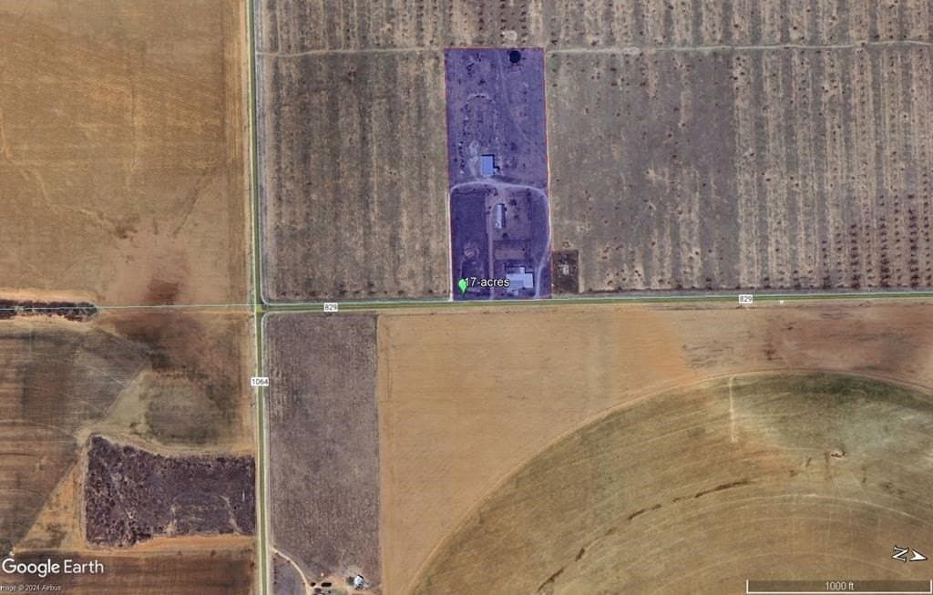 17 acres in Dawson County gallery image 2