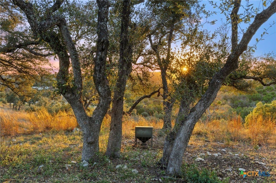 22.14 acres in Travis County - photo 11