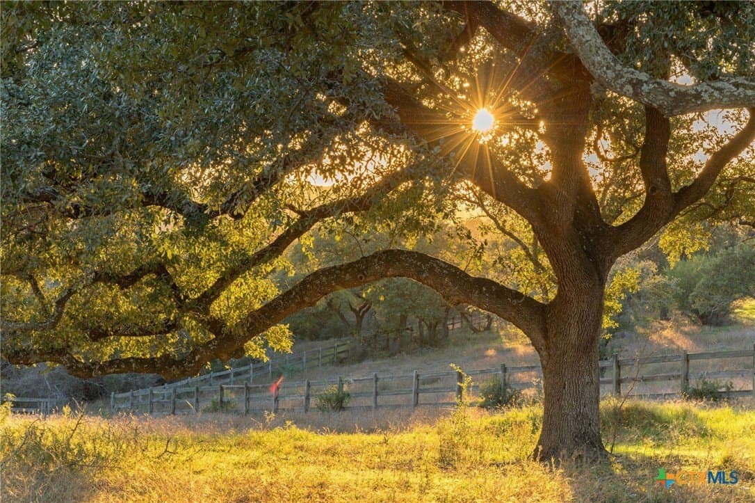 22.14 acres in Travis County - photo 6