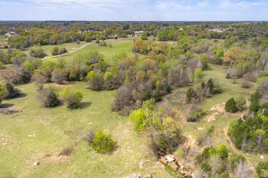 82 acres in Van Zandt County gallery image 4