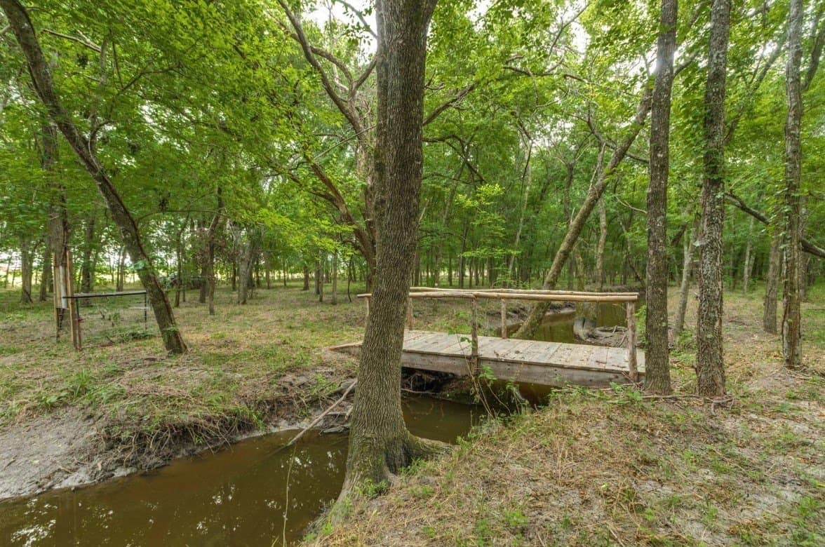 10.2 acres in Fannin County gallery image 3