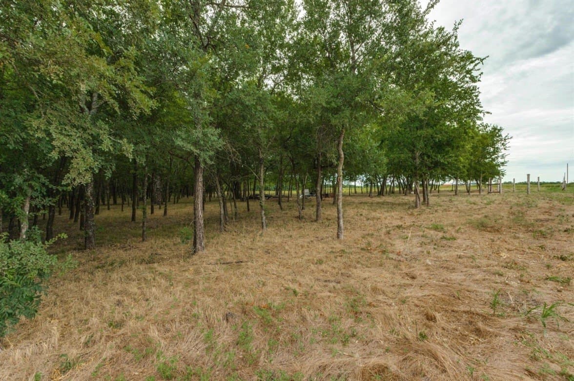 10.2 acres in Fannin County - photo 6