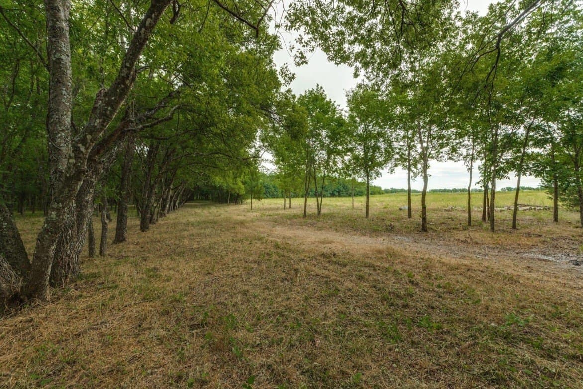 10.2 acres in Fannin County gallery image 2