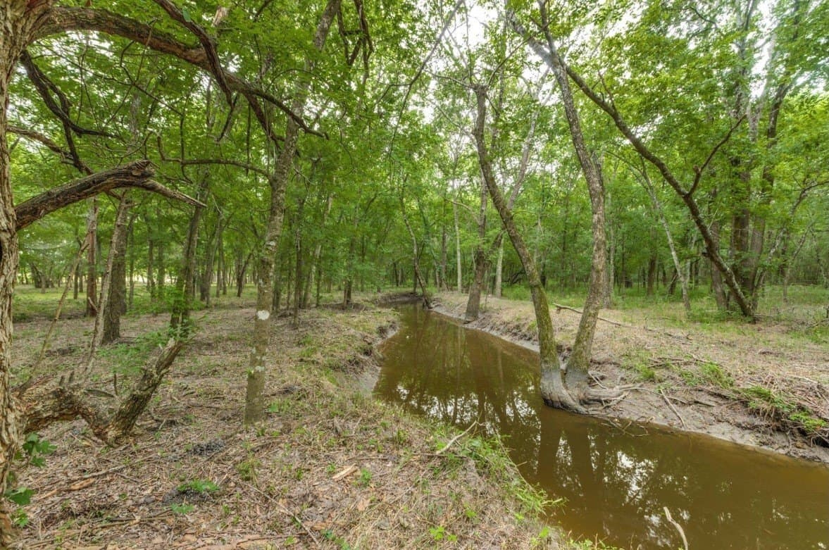 10.2 acres in Fannin County gallery image 4