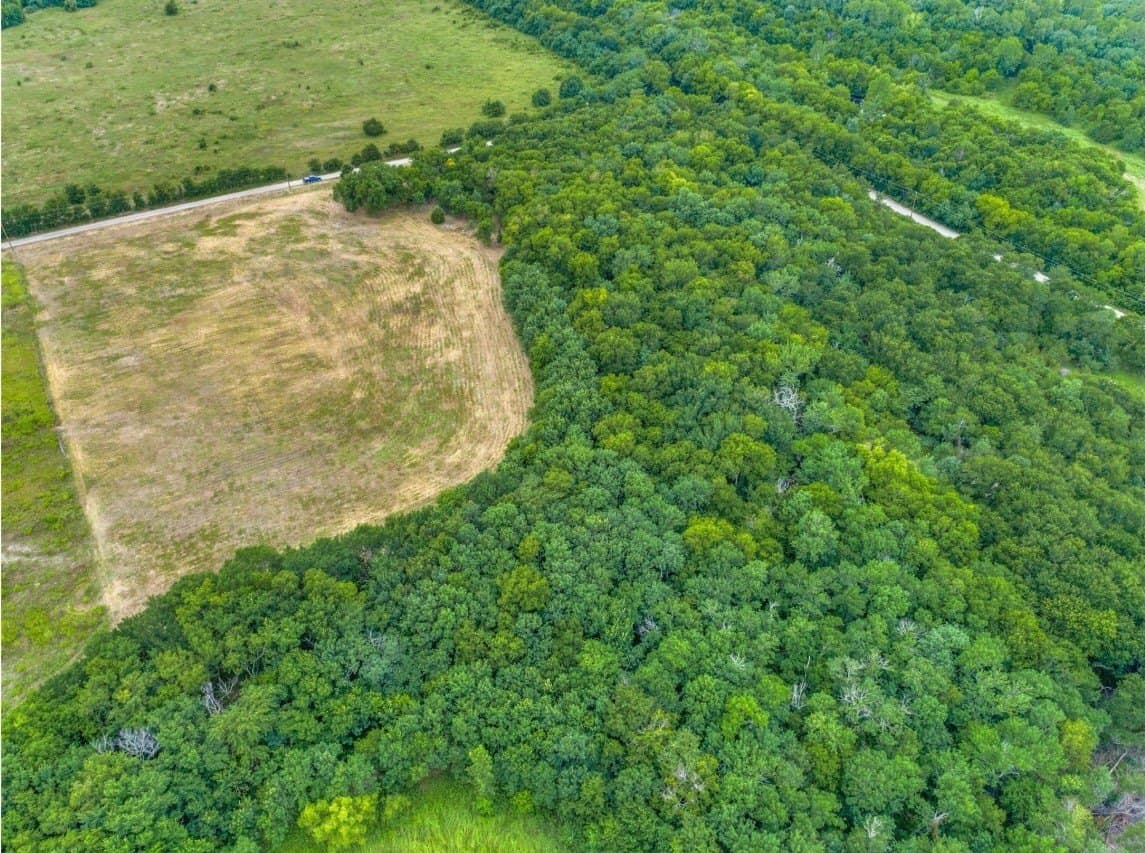 10.2 acres in Fannin County - photo 11
