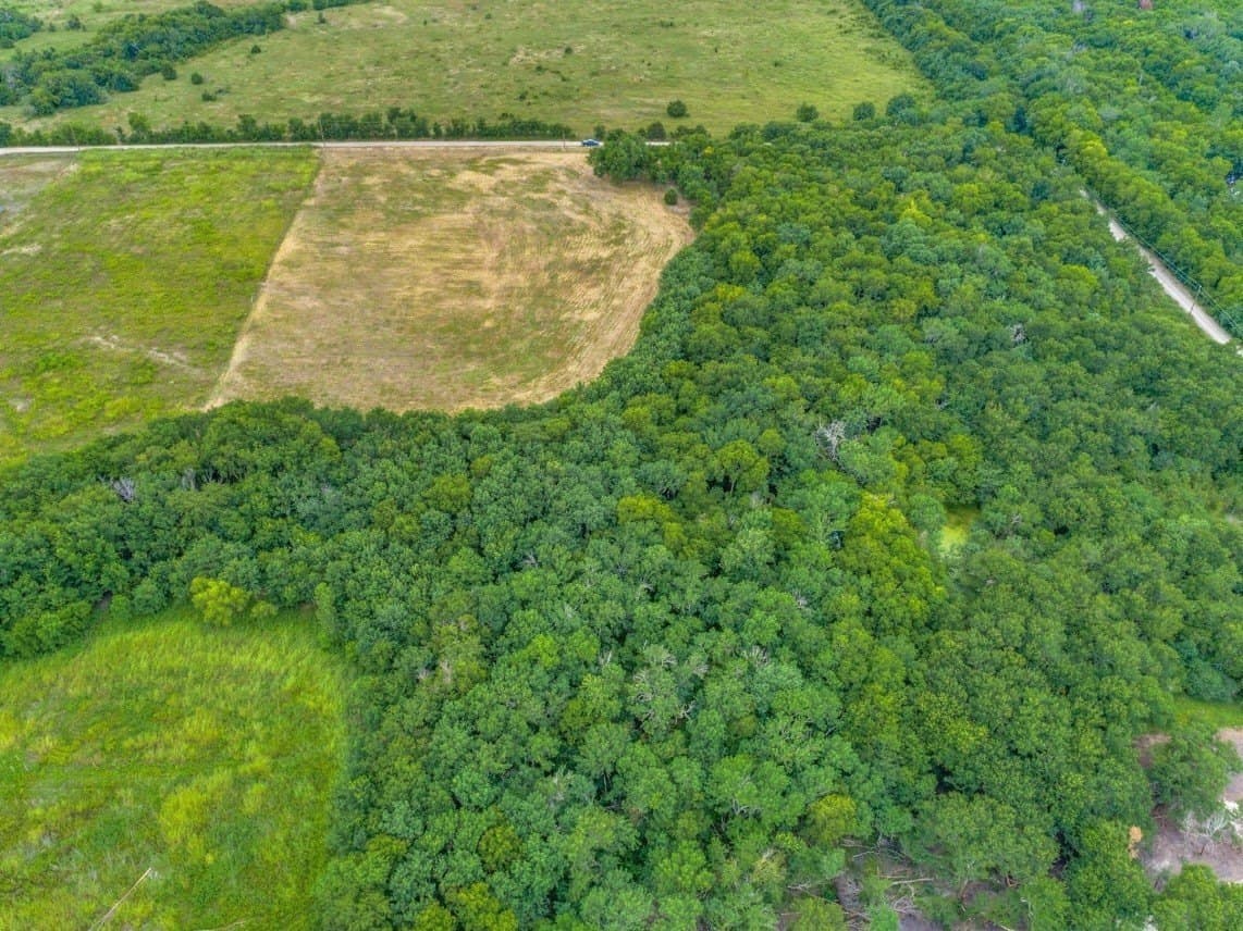 10.2 acres in Fannin County - photo 10