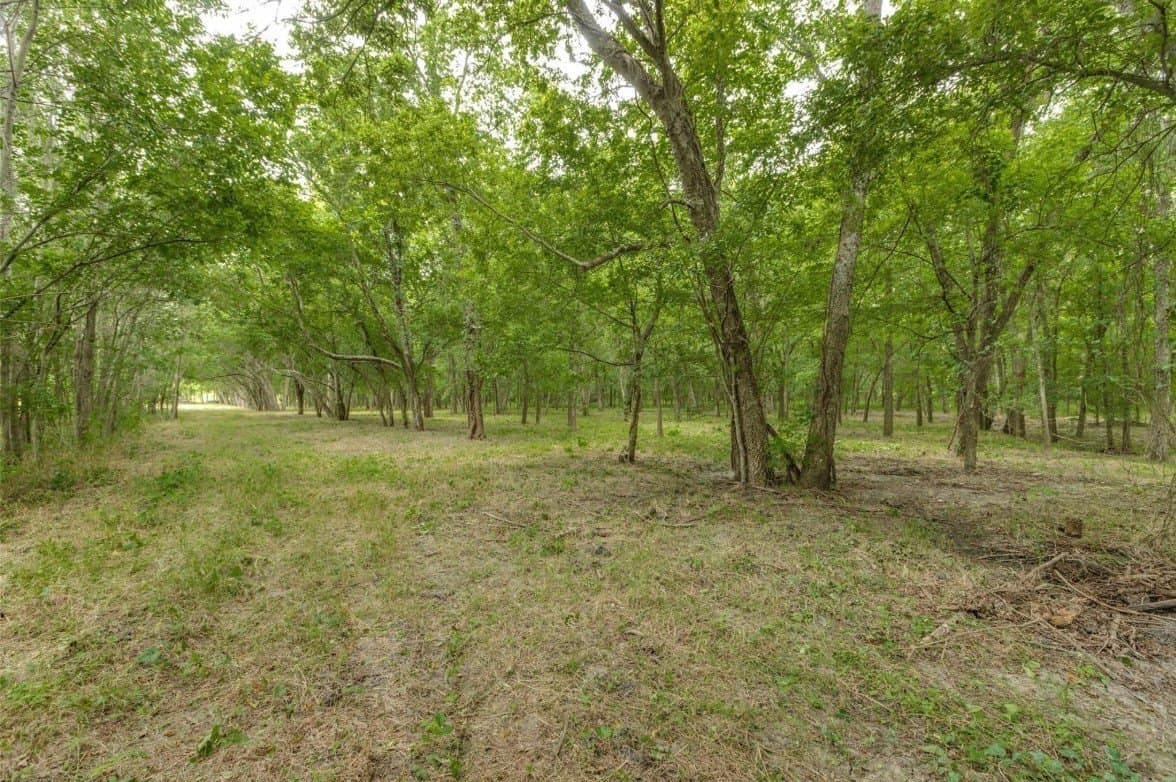 10.2 acres in Fannin County featured view