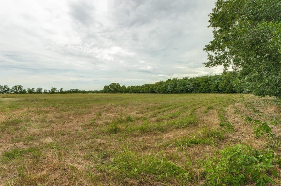 10.2 acres in Fannin County - photo 7