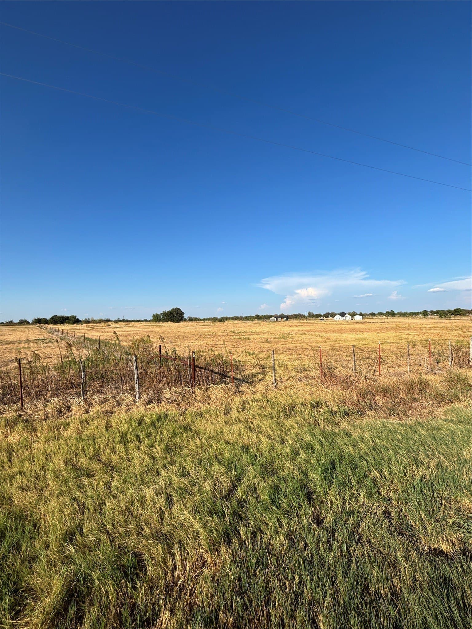 3.79 acres in Navarro County - photo 4
