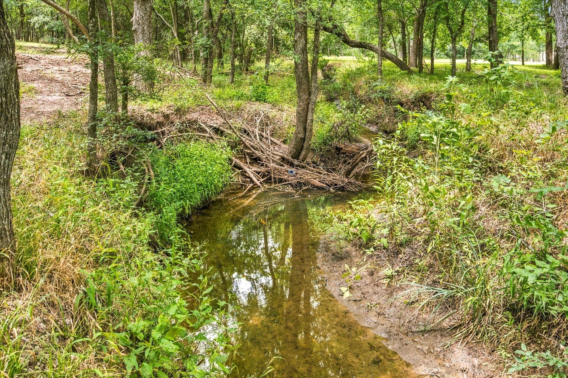 1 acres in Hunt County - photo 24