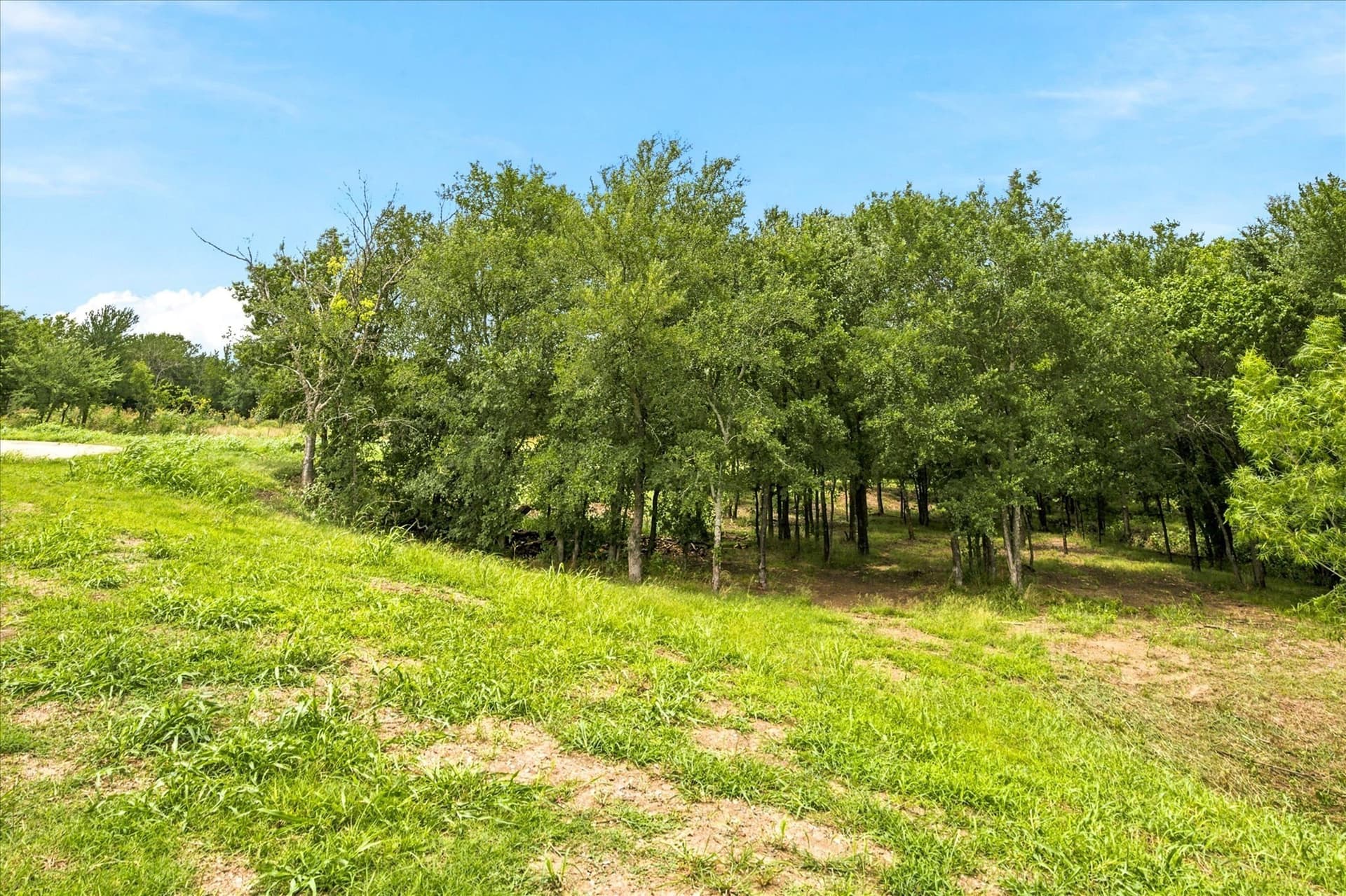 1 acres in Hunt County - photo 21