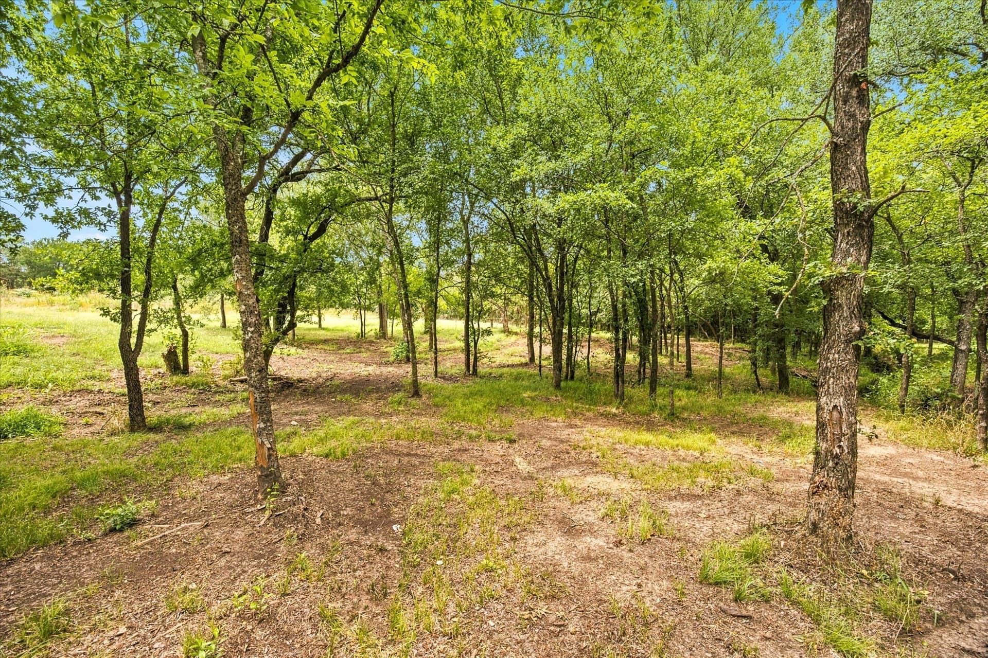 1 acres in Hunt County - photo 23