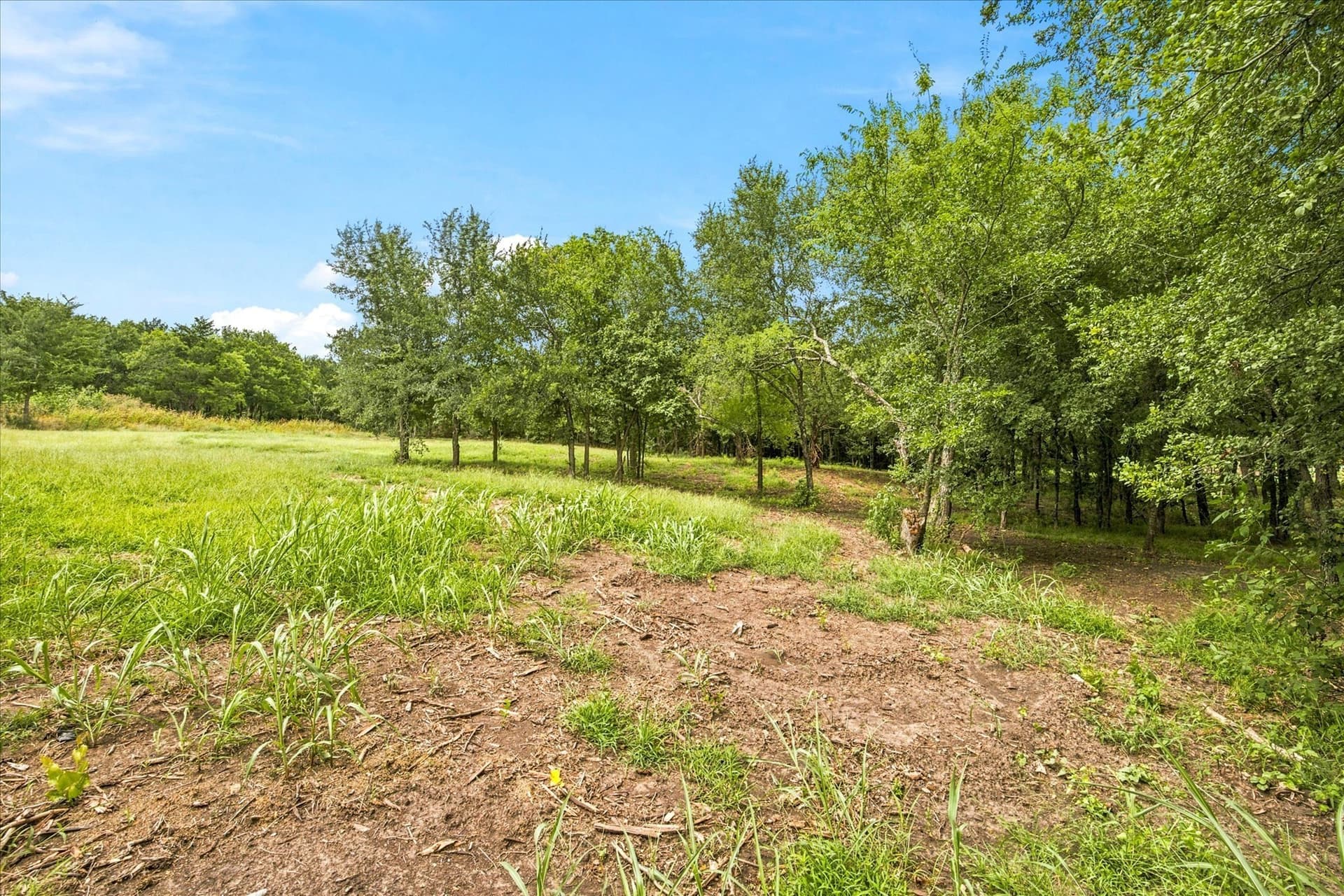 1 acres in Hunt County - photo 22