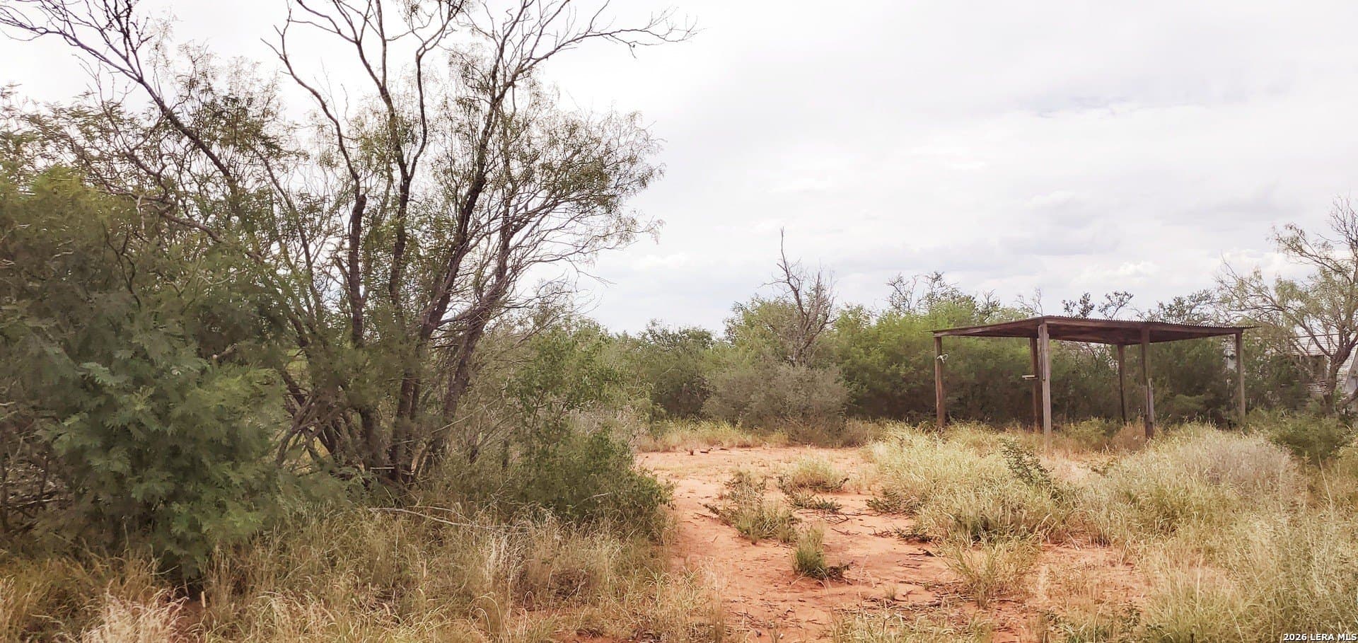 13.74 acres in La Salle County gallery image 4