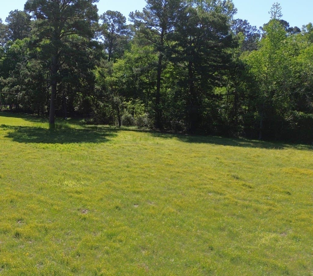 4 acres in Texas County gallery image 4