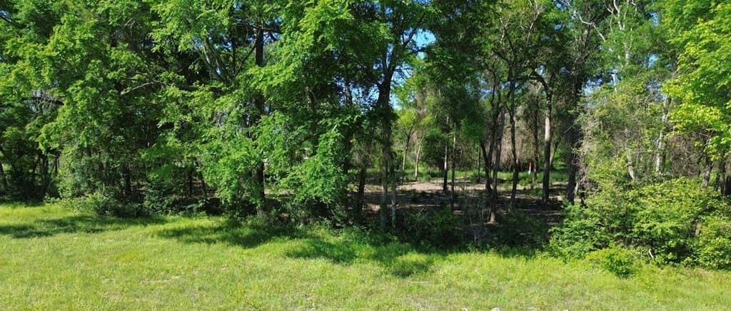 4 acres in Texas County featured view
