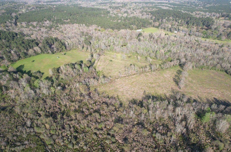 89 acres in San Augustine County - photo 9