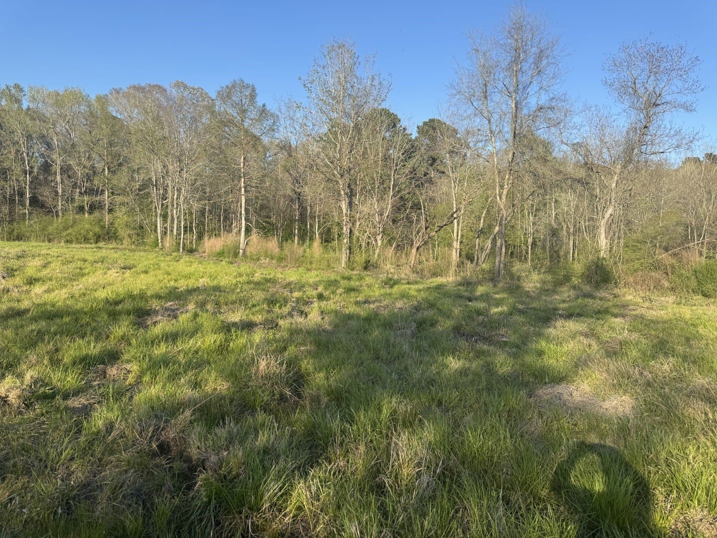 89 acres in San Augustine County - photo 18