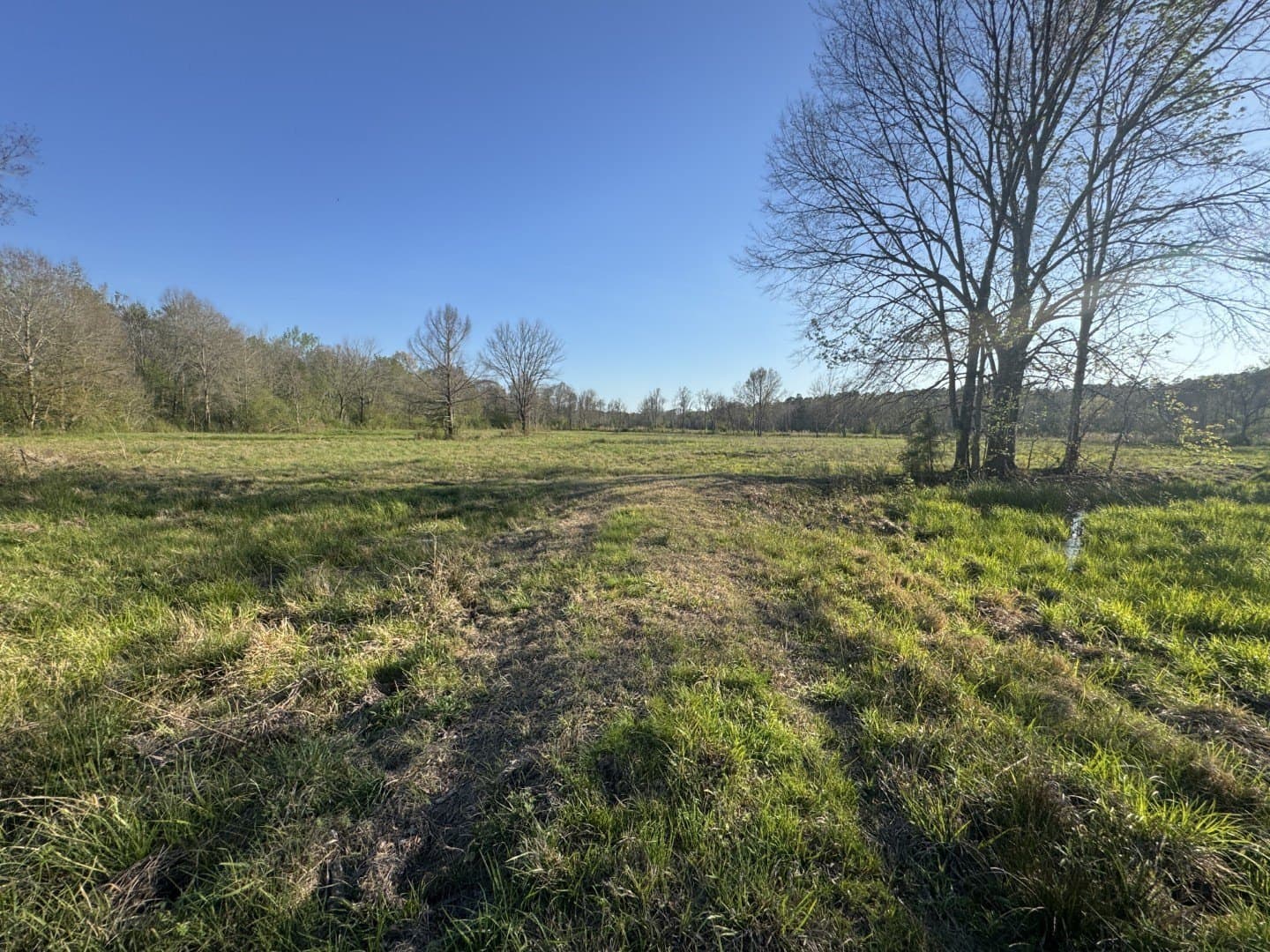 89 acres in San Augustine County - photo 19
