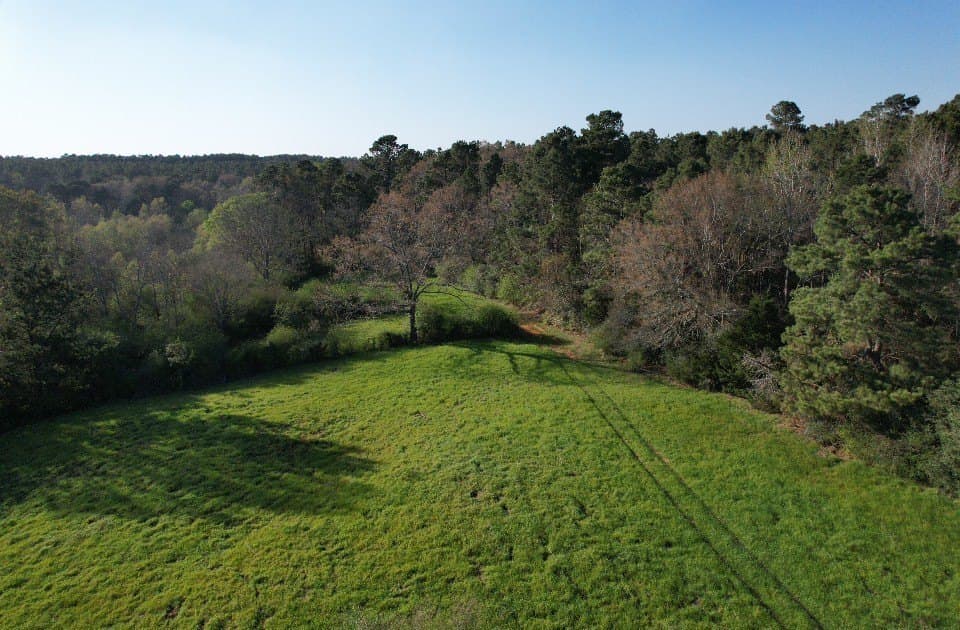 89 acres in San Augustine County - photo 13