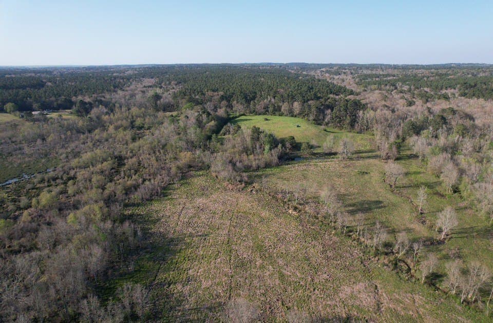 89 acres in San Augustine County - photo 11