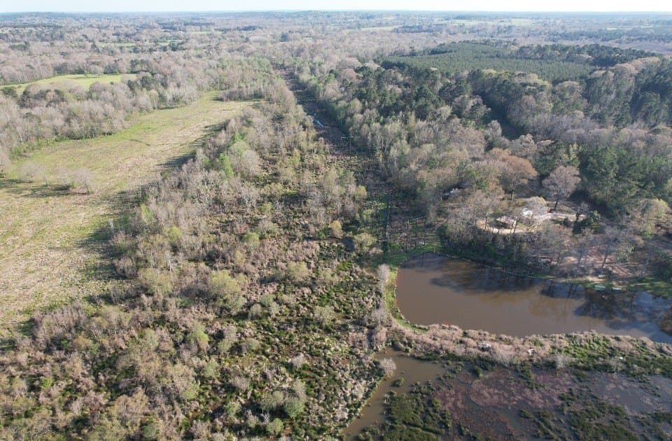 89 acres in San Augustine County - photo 7