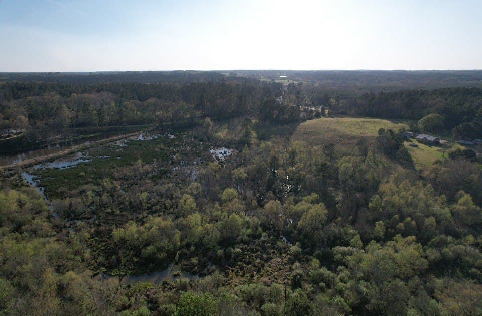 89 acres in San Augustine County - photo 14