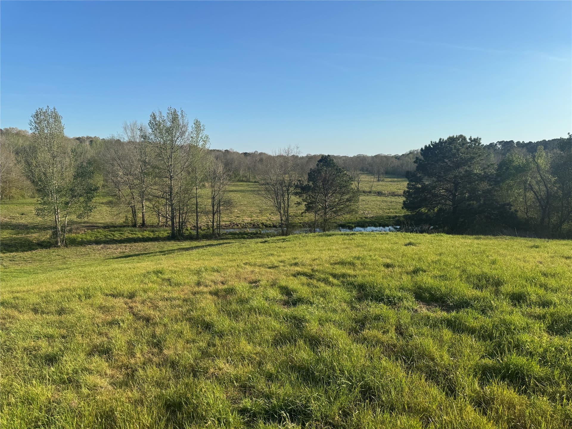 89 acres in San Augustine County - photo 17
