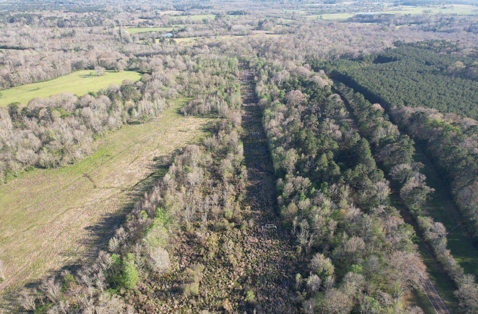 89 acres in San Augustine County - photo 8