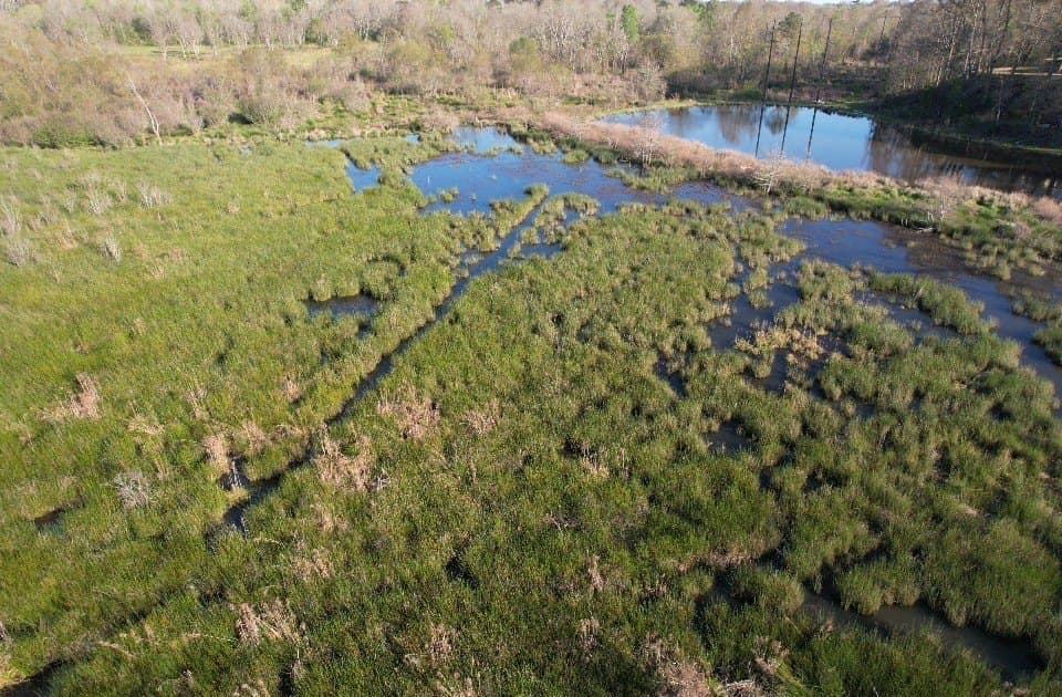 89 acres in San Augustine County - photo 15